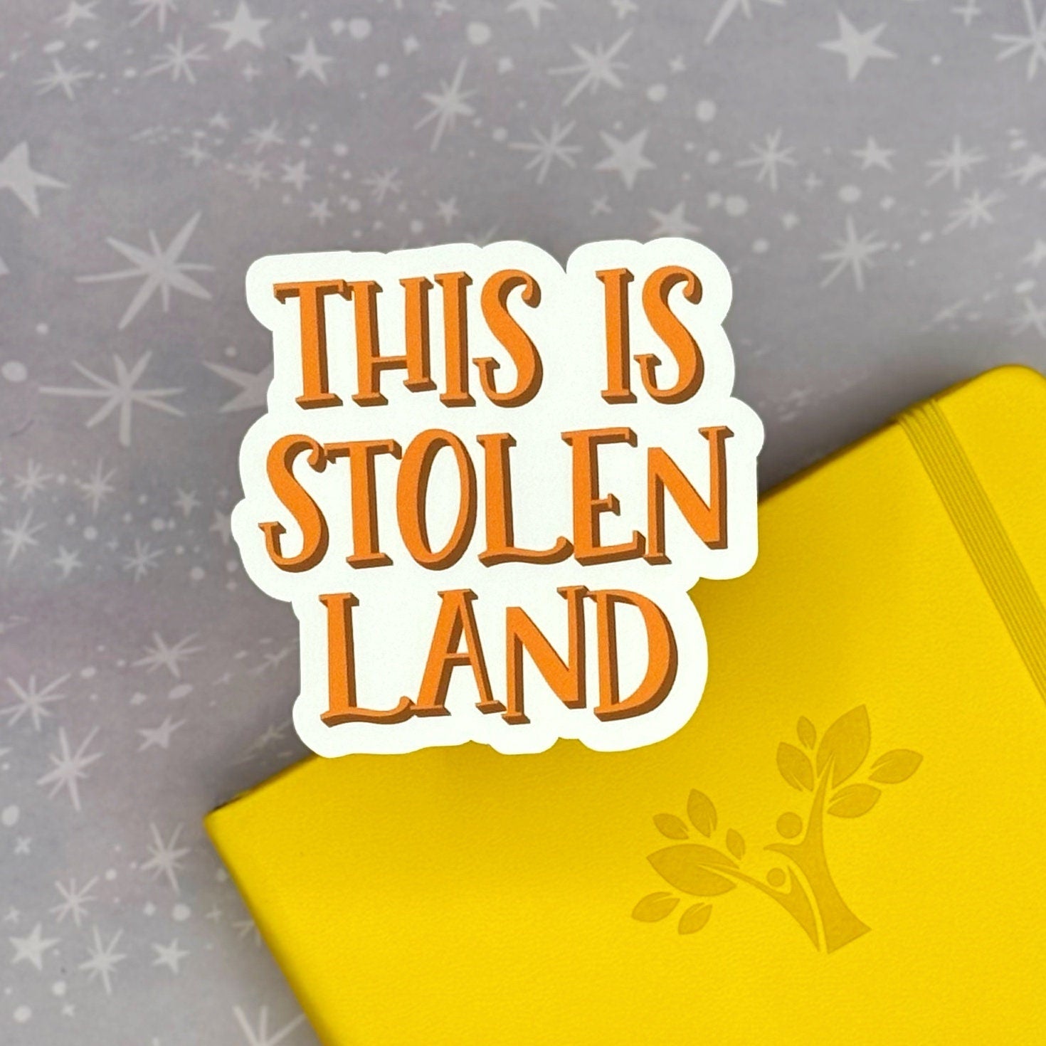 This is Stolen Land Matte Sticker, Indigenous Appreciation Sticker, Activist Sticker